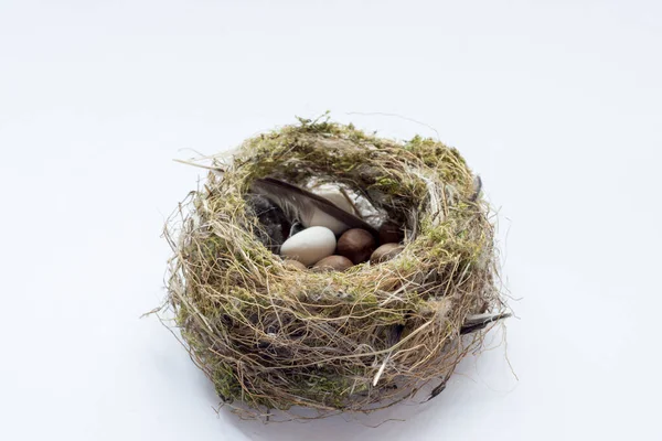 Real Bird Nest Fake Eggs Selective Focus Nest White Background Royalty Free Stock Photos