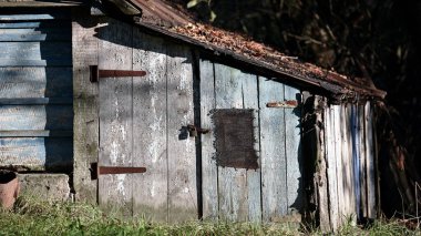 Bahçede ve yeşillikte ağaçlarla çevrili Ukrayna köy evi. Geleneksel kırsal yaşama ve halk mimarisine bir bakış. Köyde bir ev, yazlık bir ev, yakın plan.