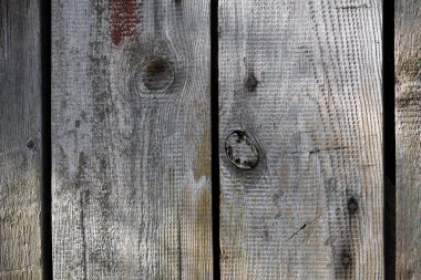 Tahta desenli eski tahtalar. Dikey, antika tahtalar. Sunumlar ve metin için şık bir arkaplan. Eski tahtaların soyut dokusu. Ahşap yok oldu. Ahşap doku. Düğümler, kusurlu yüzey