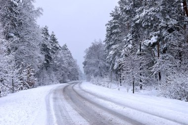 Kış orman yolu. Karla kaplı bir yol ağaçlarla çevrili sakin bir kış manzarası boyunca uzanır. Karla kaplı yol, soğuk mevsim, kışın doğanın güzelliği. Kar yağışı, karla kaplı ağaçlar