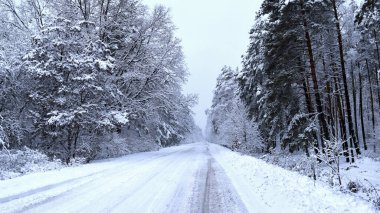 Kış orman yolu. Karla kaplı bir yol ağaçlarla çevrili sakin bir kış manzarası boyunca uzanır. Karla kaplı yol, soğuk mevsim, kışın doğanın güzelliği. Kar yağışı, karla kaplı ağaçlar