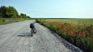 Bisiklet tarlada yolda duruyor. Bir dağ bisikleti kırmızı gelinciklerle dolu bir patikada duruyor. Dağ bisikleti. Buğday tarlası, güneşli bir gün. Bisiklete binmek. Aktif açık hava eğlencesi. Kırsal kesime yolculuk