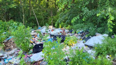 Kyiv, Ukrayna, 16.06.2025. Ormanda çöp yığınları, doğaya rastgele atılanlar. Pis kokulu hurda, plastik torba ve şişeler, doğanın kirli otlarının içindeki çöpler. Ekoloji. Yazı