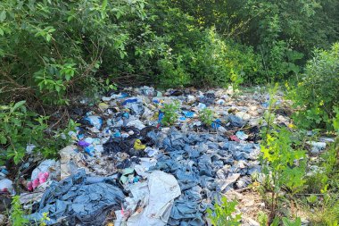Kyiv, Ukrayna, 16.06.2025. Ormanda çöp yığınları, doğaya rastgele atılanlar. Pis kokulu hurda, plastik torba ve şişeler, doğanın kirli otlarının içindeki çöpler. Ekoloji. Yazı