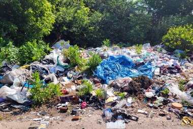 Ormanda çöp yığınları, doğaya rastgele atılanlar. Pis kokulu hurda, plastik torba ve şişeler, doğanın kirli otlarının içindeki çöpler. Ekoloji. Yazı