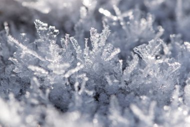 Kışın buz. Dışarıdaki sıcaklık sıfırın altında. Cam üzerinde donmuş su kristalleri. Güzel bir don deseni. Arkaplan olarak resim ya da metin için buz. Şiddetli soğuk, soğuk bir mevsim. Makro fotoğraf, yakın plan.