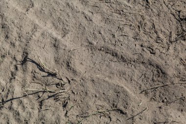 Yol toz haline dönüştürüldü. Soyut arkaplan