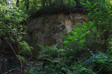 Doğu Avrupa 'nın vahşi kayalık doğası, güzel manzaralı arka plan