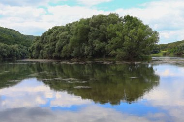 Çok güzel nehir suyu yüzeyi. Doğal yeşil arka plan. Seçici odak
