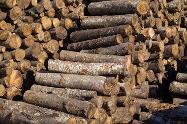 Ev ısıtması ve ateş yakmak için odun. Arkaplan