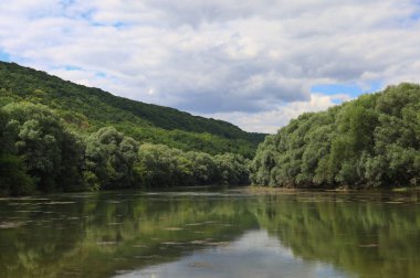 Çok güzel nehir suyu yüzeyi. Doğal yeşil arka plan. Seçici odak