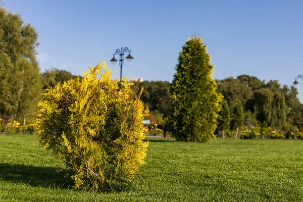 Abstracte Achtergrond Met Prachtig Ingerichte Openbare Ruimte Stadspark Met Uitstekende — Stockfoto