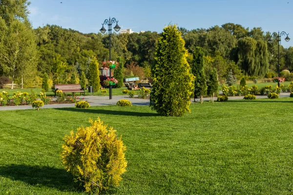 Streszczenie Tła Pięknie Zaaranżowaną Przestrzenią Publiczną Park Miejski Doskonałym Krajobrazem — Zdjęcie stockowe