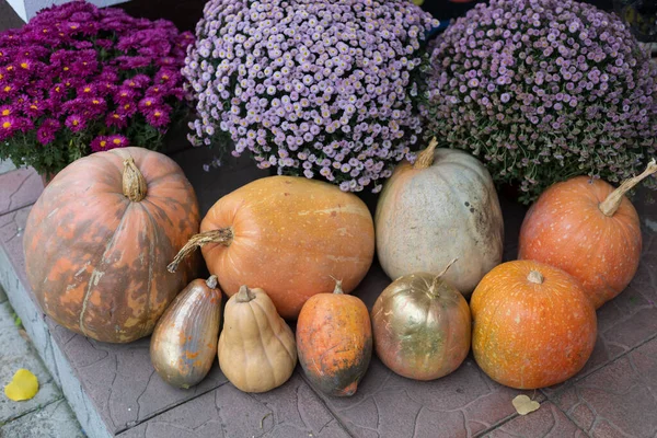 Légumes Automne Décorent Symboliquement Entrée Établissement Restauration Contexte — Photo