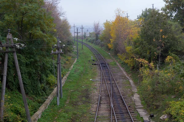 Demiryolu ya da demiryolu, mal ve yolcuların tekerlekli araçlarla raylarda taşındığı bir kara taşımacılığı türüdür. Seçici odak arkaplanı