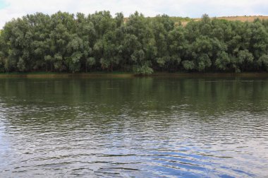 Çok güzel nehir suyu yüzeyi. Doğal yeşil arka plan. Seçici odak