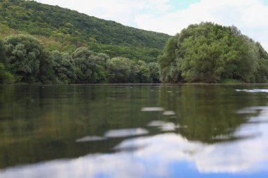 Çok güzel nehir suyu yüzeyi. Doğal yeşil arka plan. Seçici odak