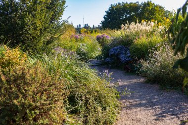 Güzel düzenlenmiş kamusal alanı olan soyut bir arkaplan. Mükemmel peyzajı olan bir şehir parkı. Çevre dostu iyi bir şehir ortamı. Seçici odak