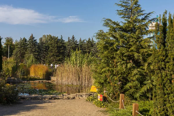 Abstracte Achtergrond Met Prachtig Ingerichte Openbare Ruimte Stadspark Met Uitstekende — Stockfoto