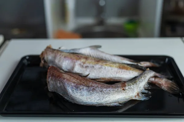 生魚のハケ 概要料理の背景 健康的な食事を調理します 選択的焦点 — ストック写真