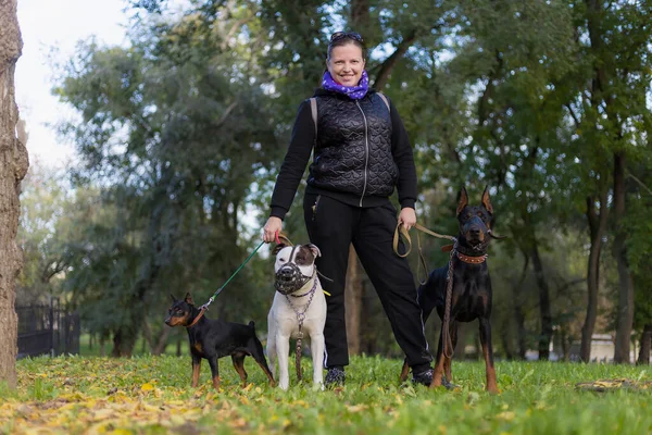 Mladá Žena Psy Procházce Venku Selektivní Zaměření Rozmazaným Pozadím Mělká — Stock fotografie