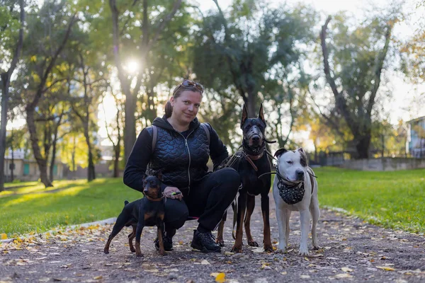 Giovane Donna Con Cani Una Passeggiata All Aperto Focus Selettivo — Foto Stock