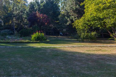 Güzel düzenlenmiş kamusal alanı olan soyut bir arkaplan. Mükemmel peyzajı olan bir şehir parkı. Çevre dostu iyi bir şehir ortamı. Seçici odak