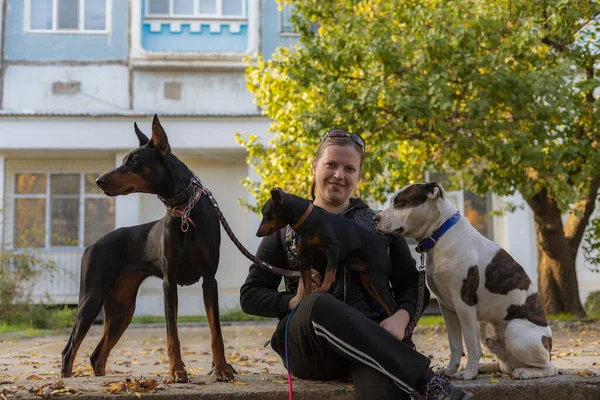 散歩中の犬を連れた若い女性 背景がぼやけた選択的フォーカス フィールドの浅い深さ — ストック写真