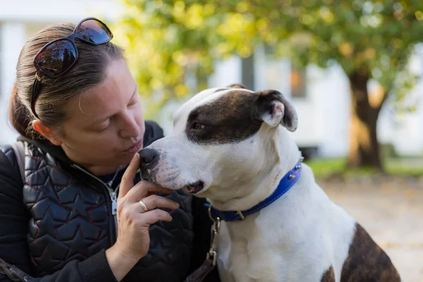 Mladá Žena Užívá Společnost Svým Milovaným Mazlíčkem Pitbullem Městském Parku — Stock fotografie