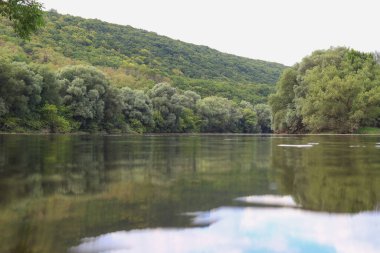 Çok güzel nehir suyu yüzeyi. Doğal yeşil arka plan. Seçici odak