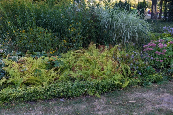 Abstraktní Zázemí Krásně Uspořádaným Veřejným Prostorem Městský Park Vynikající Úpravou — Stock fotografie