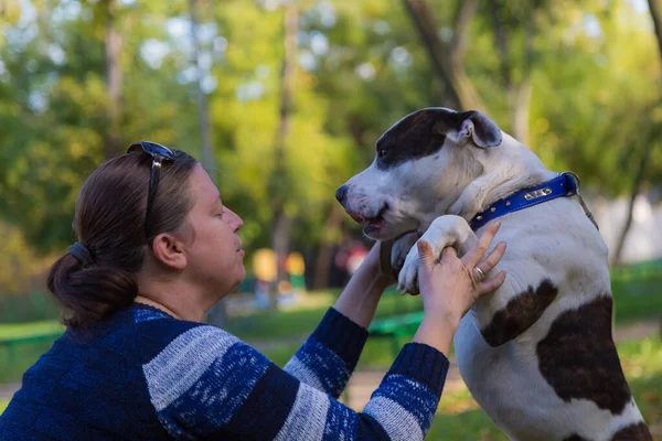 Mladá Žena Užívá Společnost Svým Milovaným Mazlíčkem Pitbullem Městském Parku — Stock fotografie