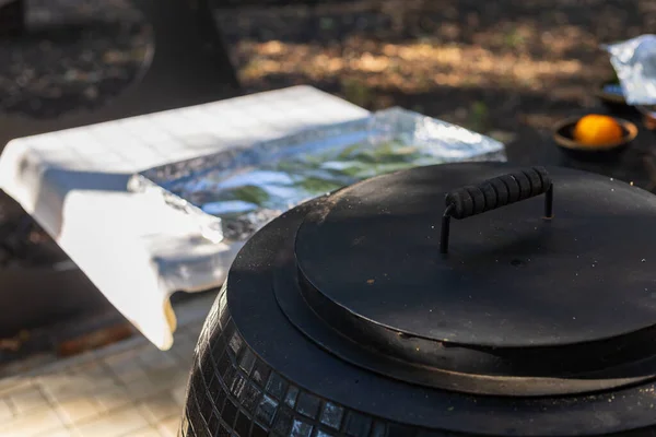 Tandoor Horno Tradicional Brasero Parrilla Tipo Especial Esférico Forma Jarra — Foto de Stock