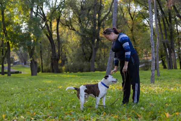 一个年轻的女人喜欢和她心爱的宠物 一头斗牛犬 在城市公园里作伴 背景模糊的选择性焦点 浅水区深度 — 图库照片
