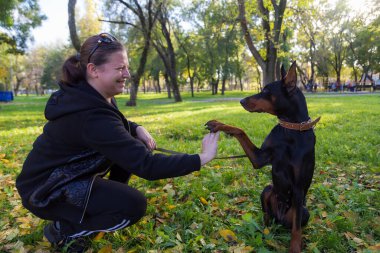 Genç bir kadın bir dobermanla yürüyüş yapıyor ve evcil bir hayvanla konuşmaktan zevk alıyor. Bulanık arkaplanı olan seçici odaklanma. Sığ alan derinliği.