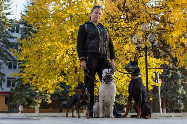 散歩中の犬を連れた若い女性 背景がぼやけた選択的フォーカス フィールドの浅い深さ — ストック写真