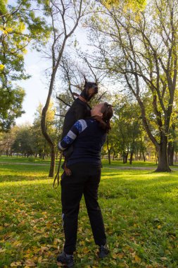 Genç bir kadın bir dobermanla yürüyüş yapıyor ve evcil bir hayvanla konuşmaktan zevk alıyor. Bulanık arkaplanı olan seçici odaklanma. Sığ alan derinliği.