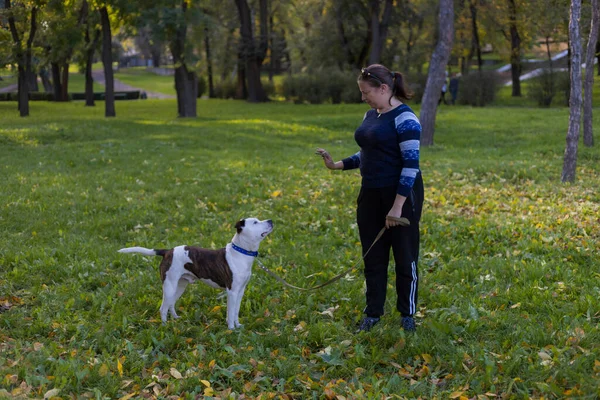 一个年轻的女人喜欢和她心爱的宠物 一头斗牛犬 在城市公园里作伴 背景模糊的选择性焦点 浅水区深度 — 图库照片