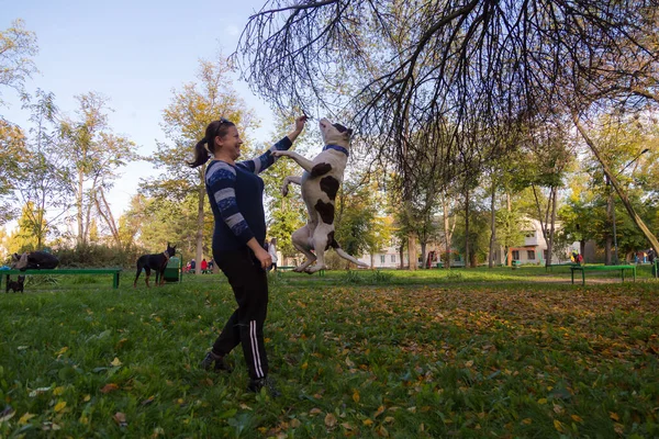 Una Giovane Donna Gode Compagnia Con Suo Amato Animale Domestico — Foto Stock