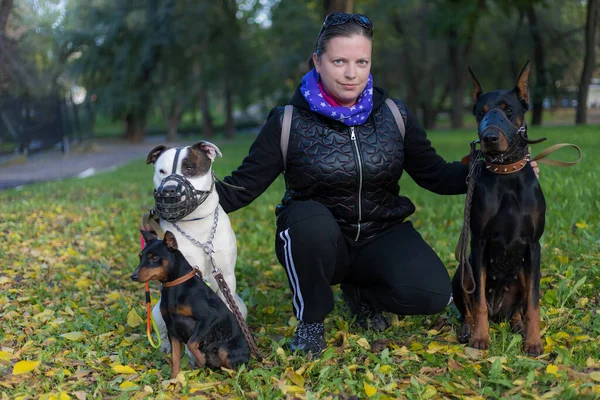 Mladá Žena Psy Procházce Venku Selektivní Zaměření Rozmazaným Pozadím Mělká — Stock fotografie