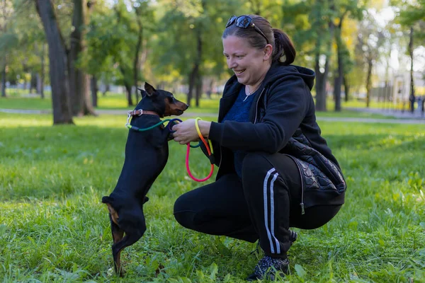 都会の公園で大好きなピンチャー犬と一緒に楽しむ若い女性 背景がぼやけた選択的フォーカス フィールドの浅い深さ — ストック写真