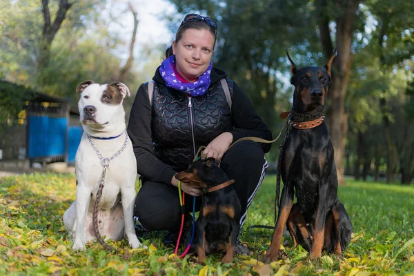 Mladá Žena Psy Procházce Venku Selektivní Zaměření Rozmazaným Pozadím Mělká — Stock fotografie