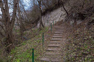Vahşi bir ormanda yürüyüş yapmak için somut adımlar. Seçici odak, arkaplan