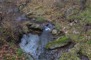 Dağ yayı ya da vahşi akarsu. Bulanık arkaplan ile seçmeli odak.