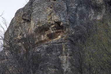 Doğu Avrupa 'nın vahşi kayalık doğası. Seçici odak, arkaplan