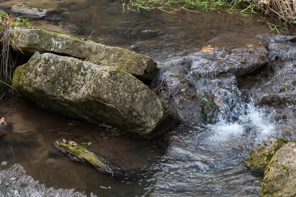 Source Montagne Ruisseau État Sauvage Mise Point Sélective Avec Fond — Photo