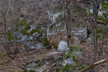 Doğu Avrupa 'nın vahşi kayalık doğası. Seçici odak, arkaplan