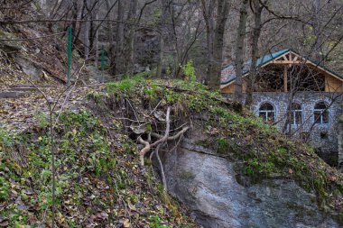Doğu Avrupa 'nın vahşi kayalık doğası. Seçici odak, arkaplan
