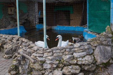 6 Aralık 2020 'de Saharna Moldova, ülkenin en ünlü manastırı ve farklı ülkelerden inananların hacca gittiği yerdir. Bahçe ekonomisi