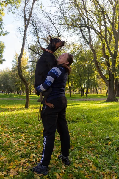 Una Giovane Donna Passeggiata Con Doberman Diverte Parlare Con Animale — Foto Stock